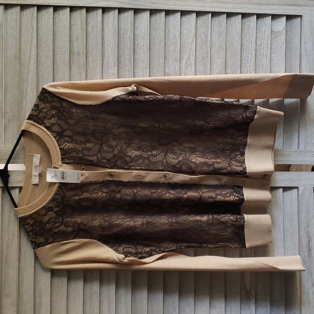 Loft Sweater